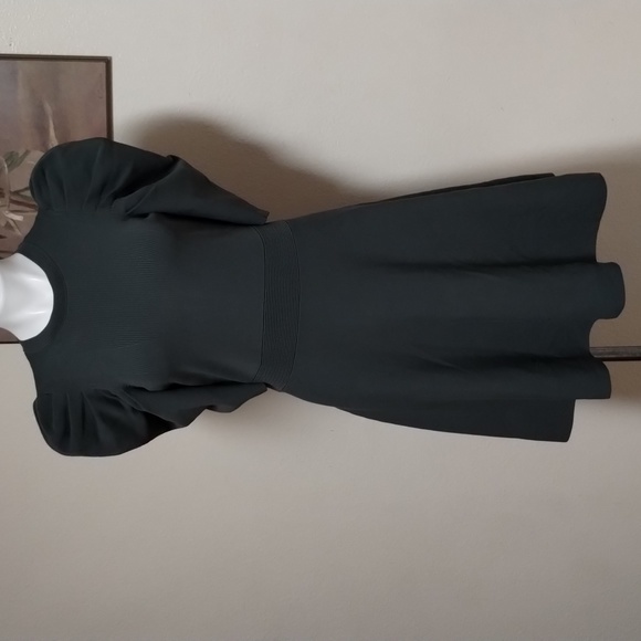 Ted Baker LLORNA Skater dress - Picture 3 of 8